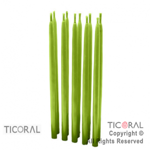 VELA 2294 VERDE MANZANA COMUN PORTAVELA x 10